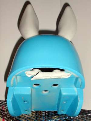 head03.jpguwʁv