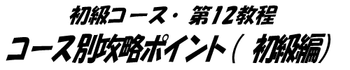title32.gifuR[XE12 R[XʍU|Cgiҁjv