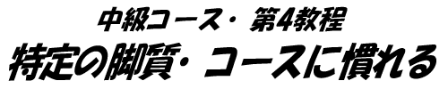 title37.gifuR[XES ̋rER[XɊv